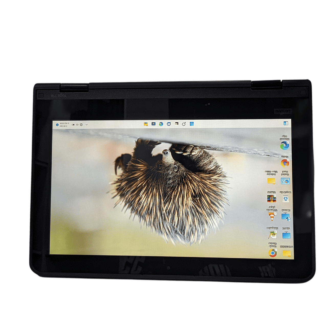 Lenovo Yoga 11e x360 Image 4